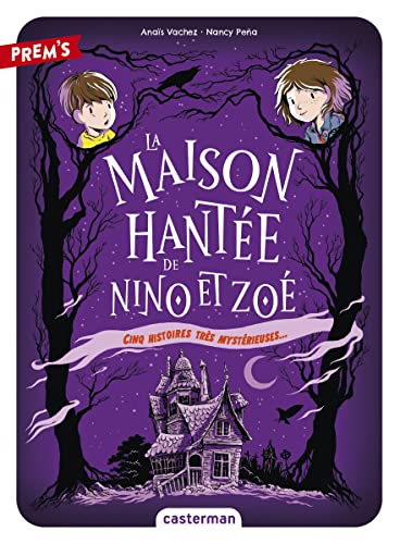 Cinq histoires très mystérieuses