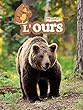 L'ours